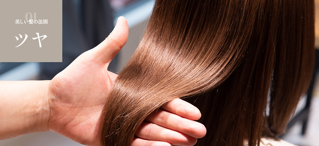 美しい髪の法則ツヤ