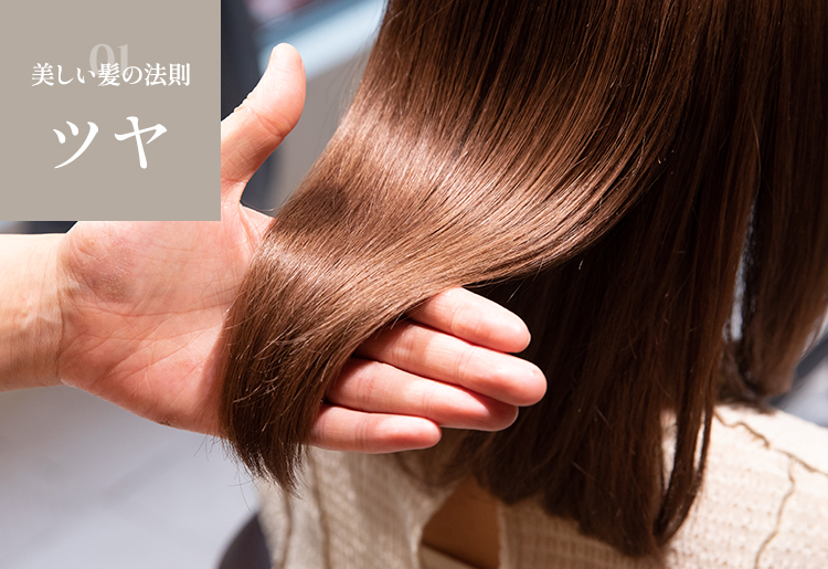 美しい髪の法則ツヤ