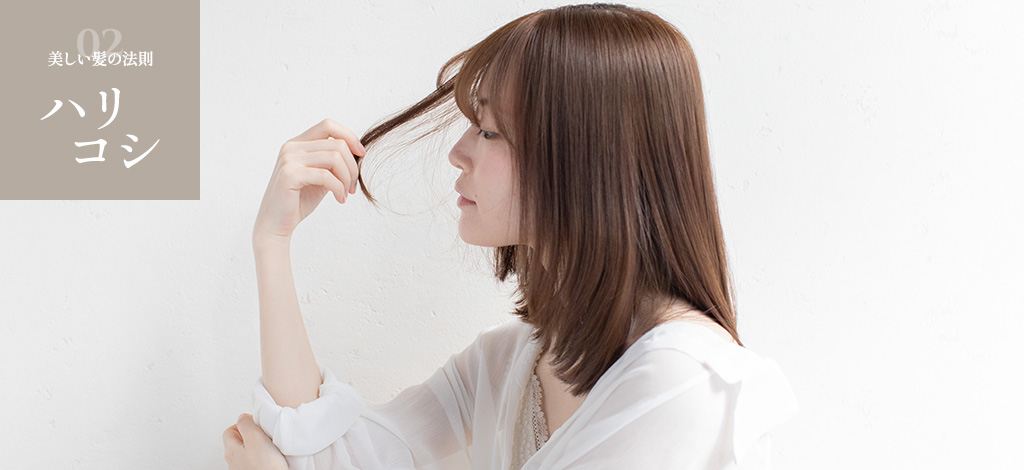 美しい髪の法則ハリコシ