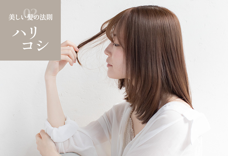 美しい髪の法則ハリコシ