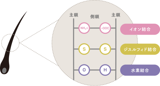 クセ・うねりの結合状態