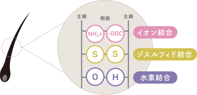 クセ・うねりの結合状態