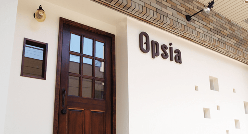 Opsia