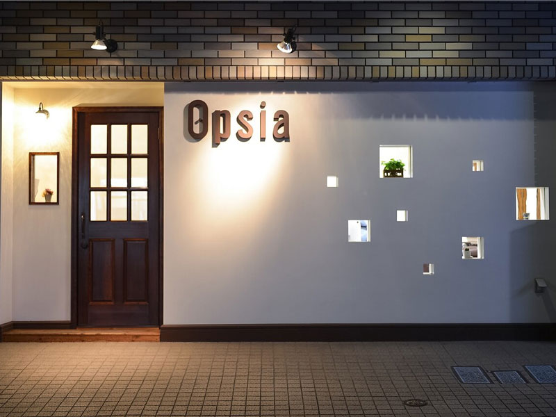 Opsia